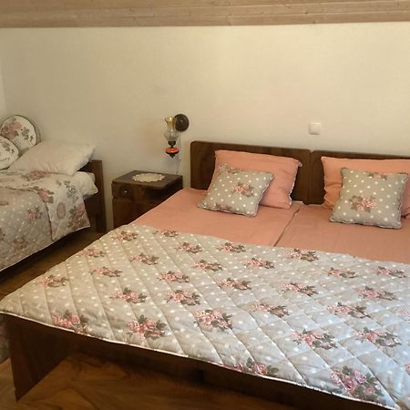 Pr' Grogori Apartman Zelezniki Kültér fotó